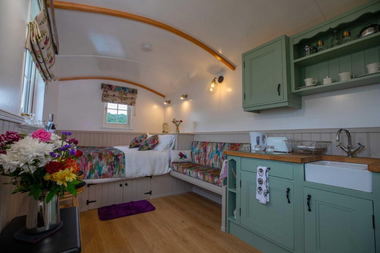 Shepherd Hut Bird Enniskillen, Fermanagh Exterior foto